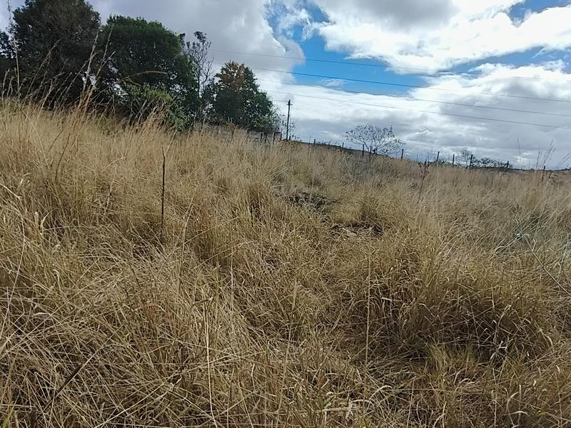 0 Bedroom Property for Sale in Myezo Park Eastern Cape